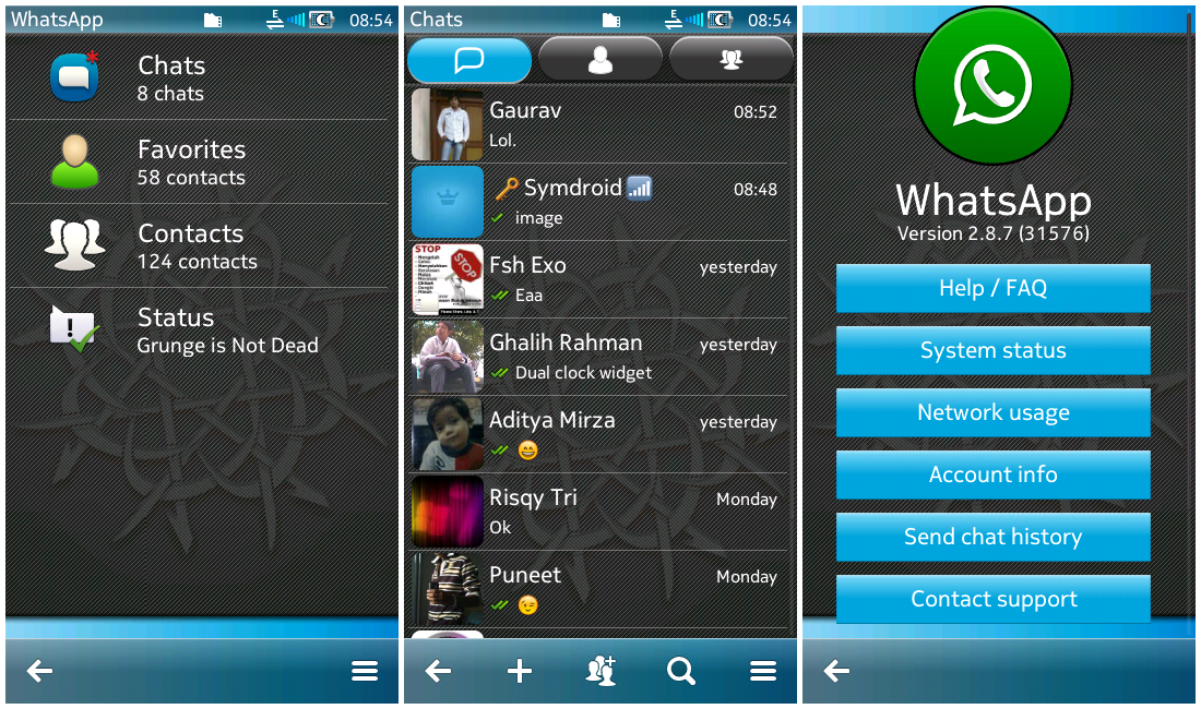 WhatsApp 2.2325.3 instal the new version for android